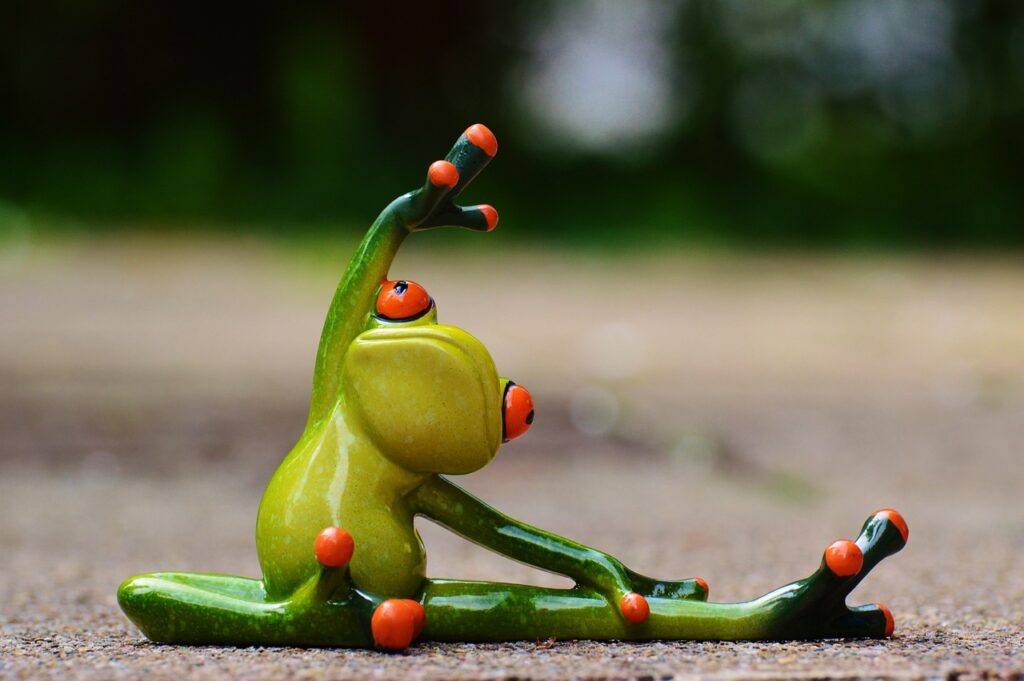 Grenouille qui fait du sport