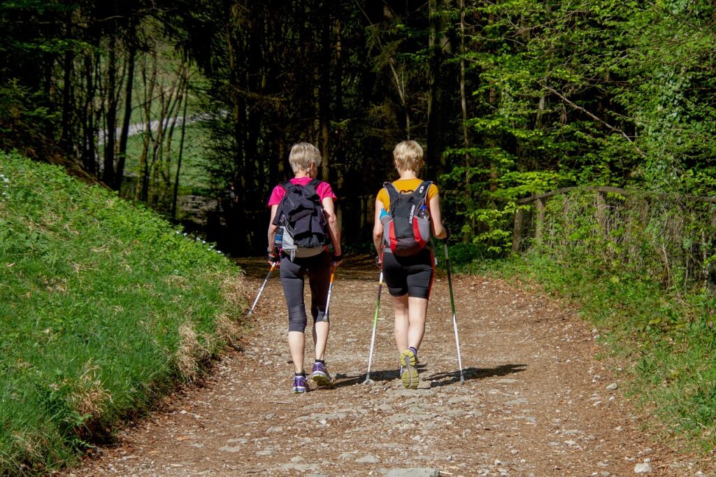 Deux personnes qui de la marche dans la foret 